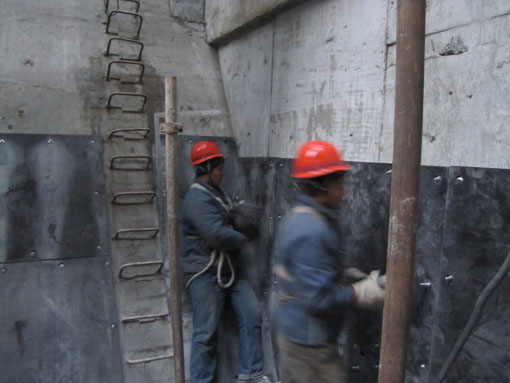 ��䓼��Fĳ�x�S�ς}�����r�尲�b